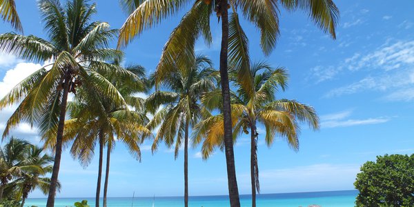Caraibi