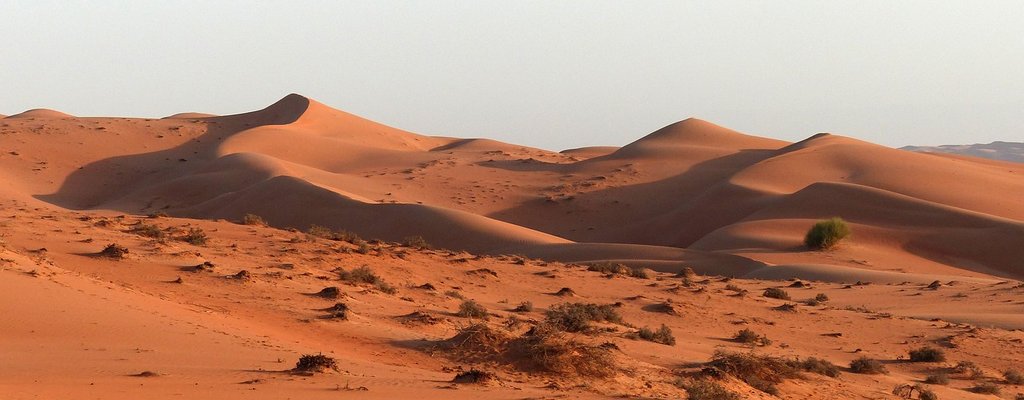Desert