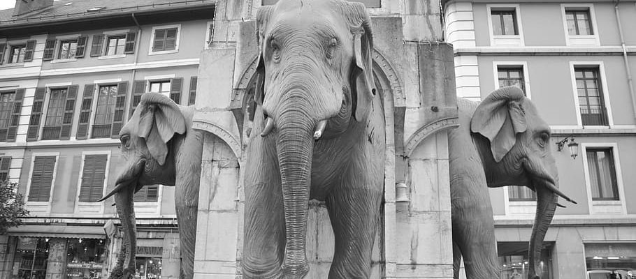 lione