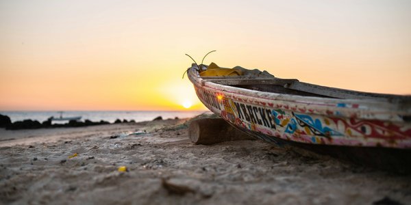 Senegal, Safari + Mare -  IN PROGRAMMA