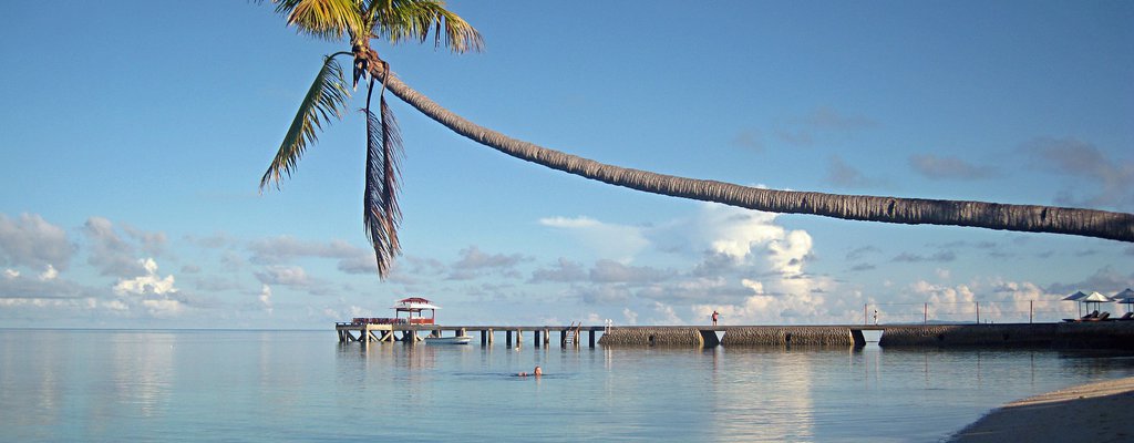 sulawesi